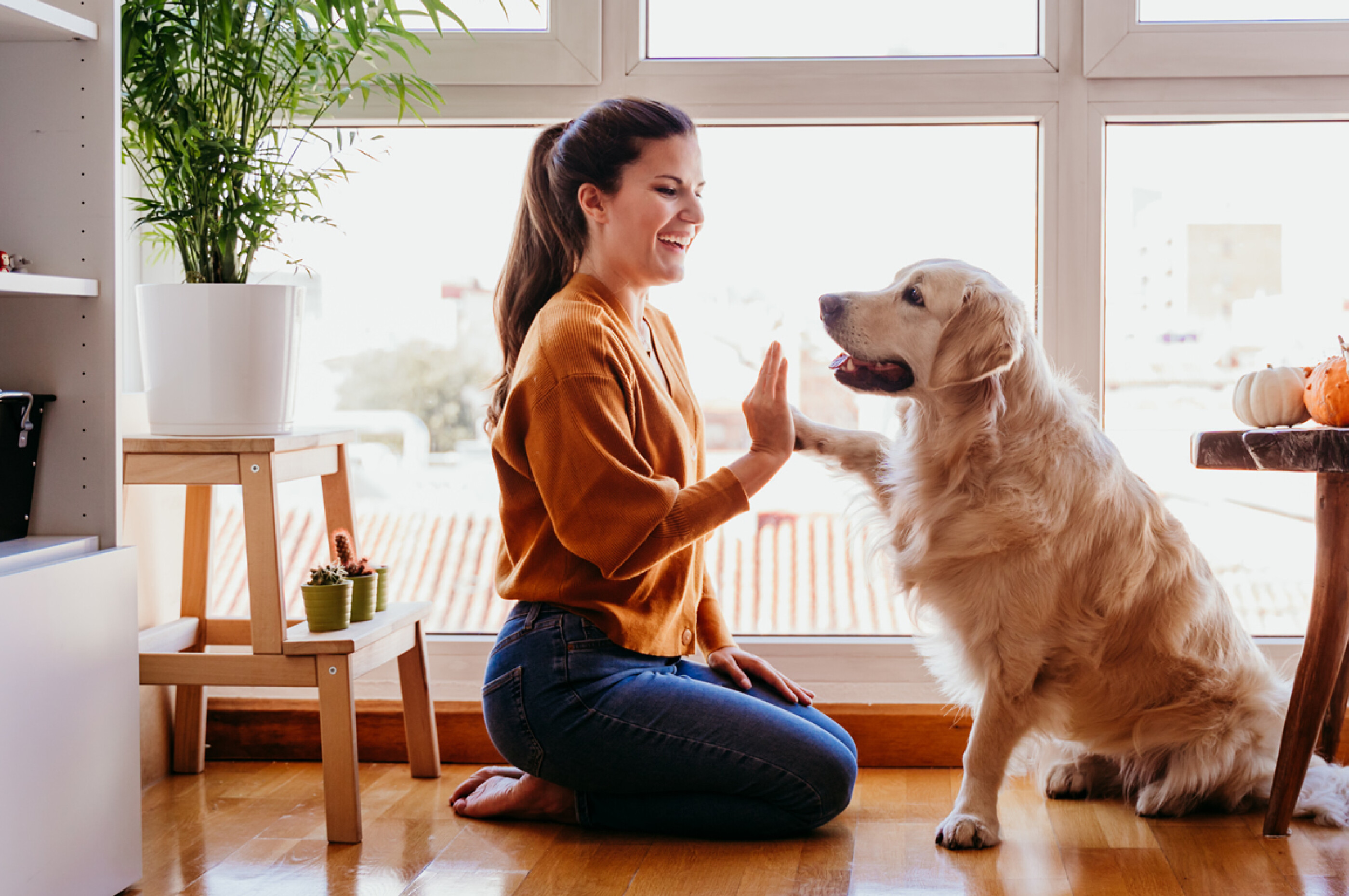 Naturopathic veterinarian near store me