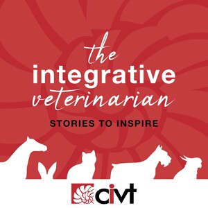 CIVT Podcast