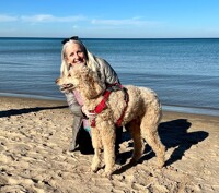 'Sammy' the Standard Poodle 0