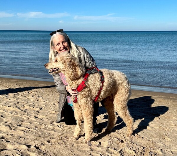 'Sammy' the Standard Poodle