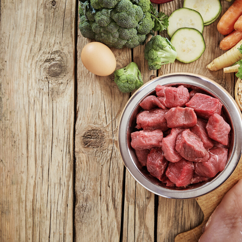 Natural Animal Nutrition Natural Animal Nutrition
