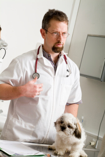 evidence based veterinary medicine