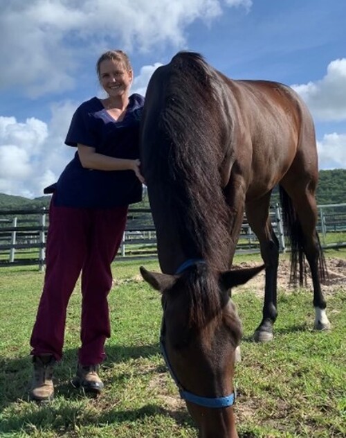 Certification in Equine Acupuncture Certification in Equine Acupuncture