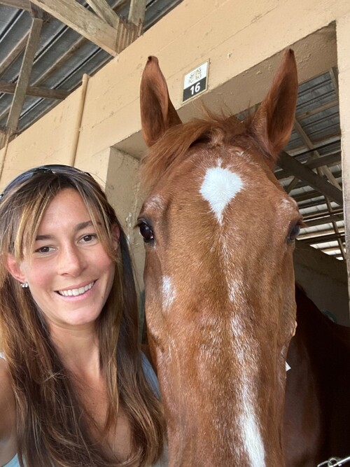 Certification in Equine Acupuncture Certification in Equine Acupuncture