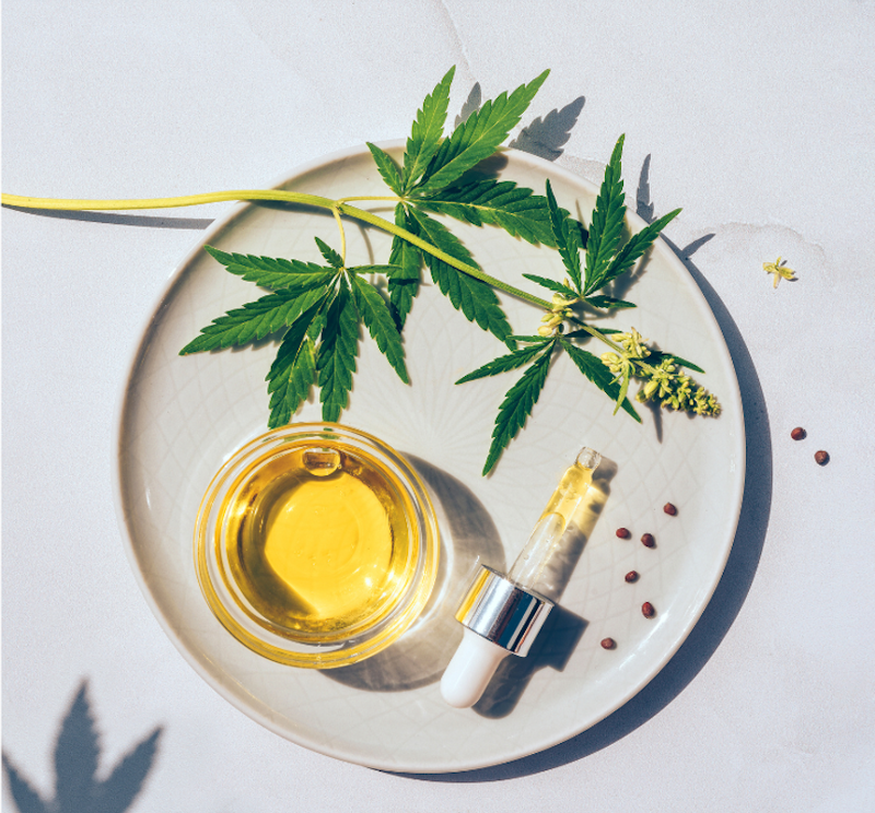 CBD – More than just Cannabidiol