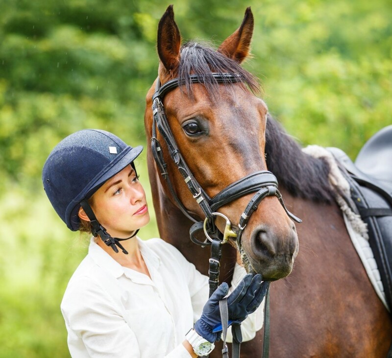 Lyme Disease and its Treatment in the Horse
