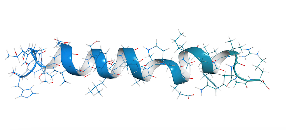 Peptide Therapy: a Potential Adjunct to Standard Veterinary Care : Webinars
