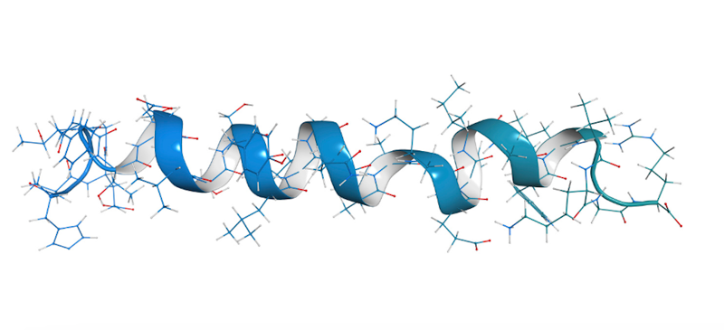 Peptide Therapy: a Potential Adjunct to Standard Veterinary Care