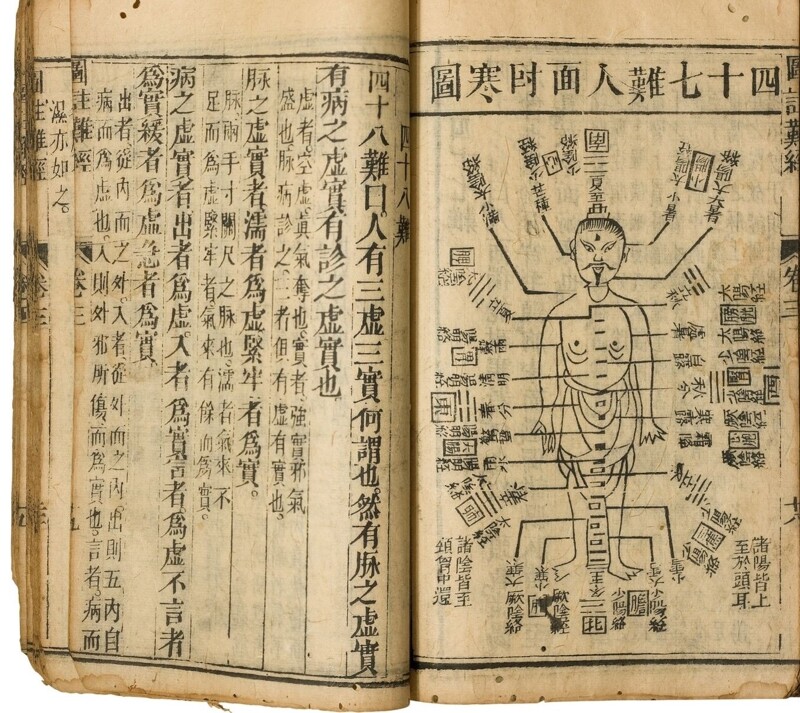 Traditional Chinese Medicine: Language or Metaphor? 